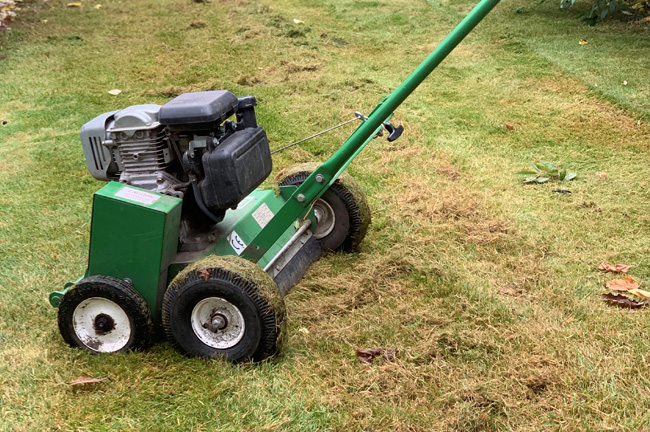 Lawn Treatment